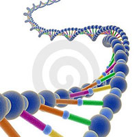 Simulados de Biologia, simulados online de biologia, simulado de biologia, Vestibular Biologia, Provas biologia, Questíes de Biologia, prova de biologia, prova biologia