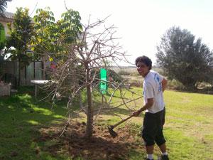 Felipe no trabalho como jardineiro (Foto: Malhação / Tv Globo)