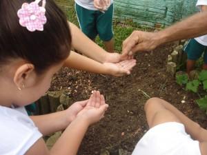 Educação ambiental