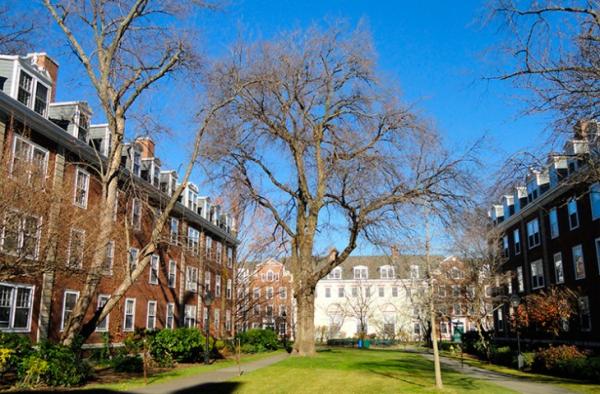 Harvard abre inscrições para programas de bolsa de estudo